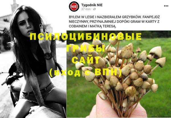 прущий лед Лагань
