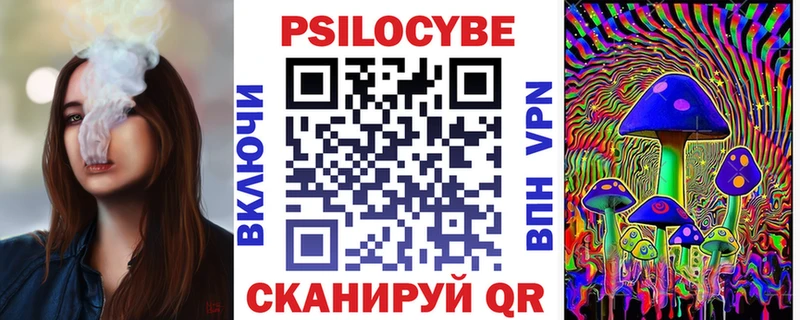 Купить  Павловск  Псилоцибиновые грибы Cubensis 